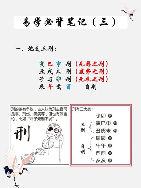 自刑：一种独特的生物学现象