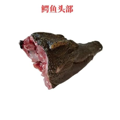 鳄鱼肉的美味烹饪方法