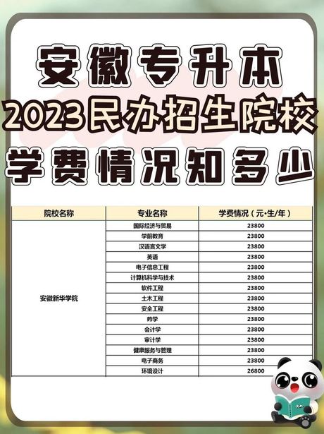 民办大学学费解析