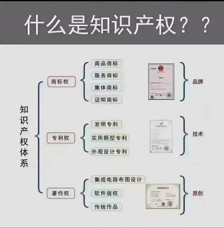 自主知识产权是什么意思？了解知识产权的重要性