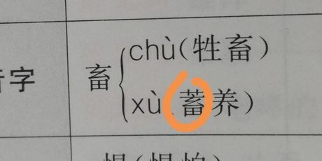 畜怎么读：一个简单的汉字，多样的读音