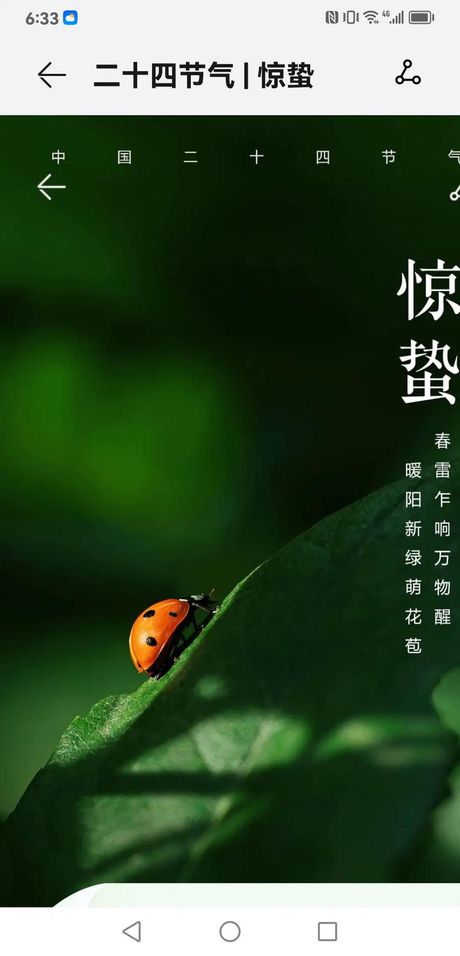 蛰伏的秘密：生物的冬眠与生存策略