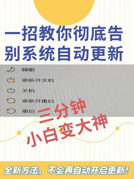 如何关闭系统更新：了解与操作指南