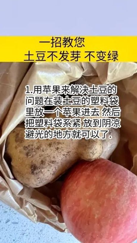 土豆怎么样保存才能不发芽