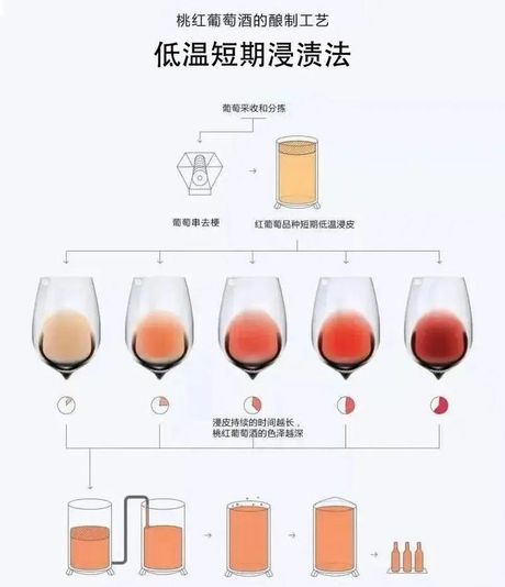 葡萄酒的制作方法和步骤