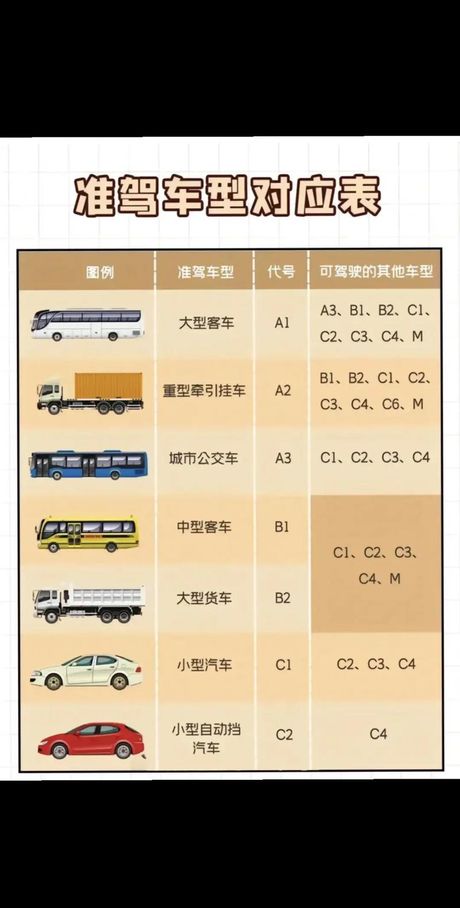 B2驾照的秘密：你所能驾驶的车辆类型