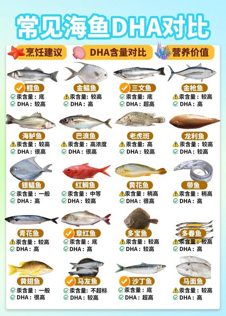 海鱼烹饪指南：简单又美味