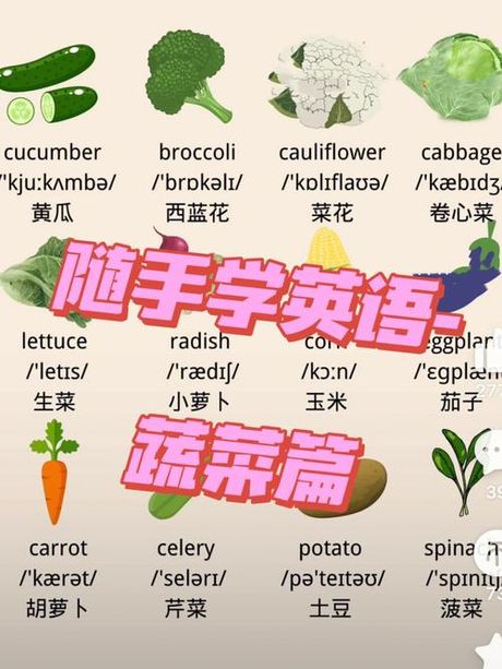 黄瓜英语怎么说：探索“Cucumber”的奥秘