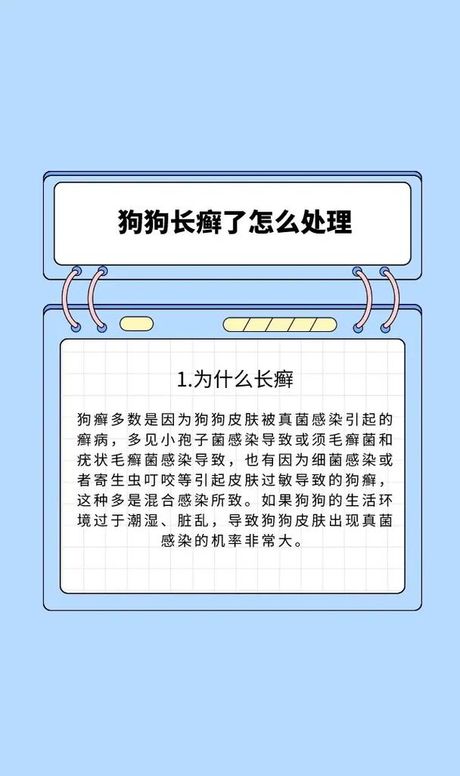 狗狗长癣怎么办？