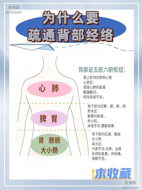 点背怎么转运：科学视角下的运势改善