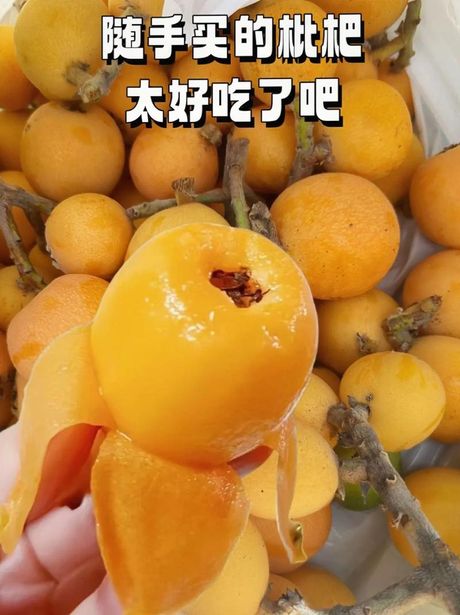 枇杷怎么吃：美味与健康的完美结合