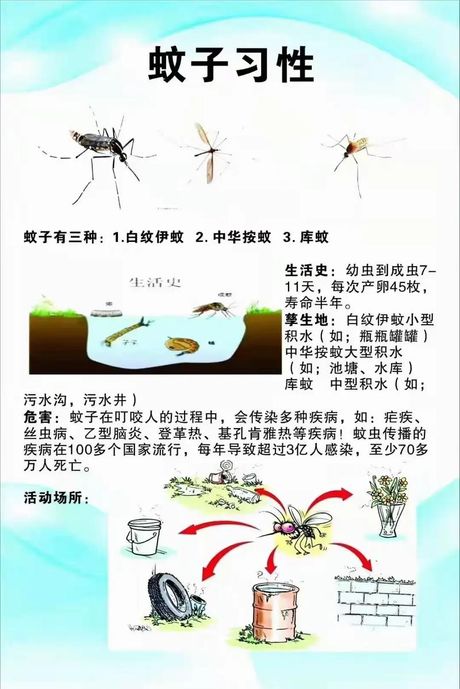 怎么杀蚊子最有效：科学方法与策略