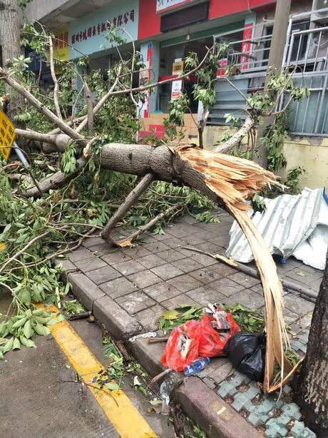 台风山竹：强度与级别