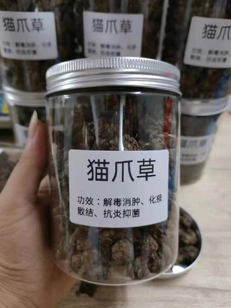 猫爪草：神秘的功效与食用方法