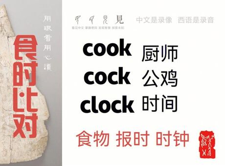 探索“Cooks”的含义