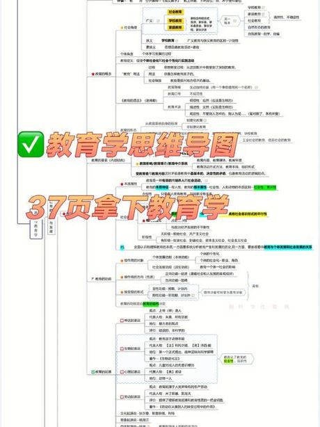 教师编制：揭秘教育系统的核心结构