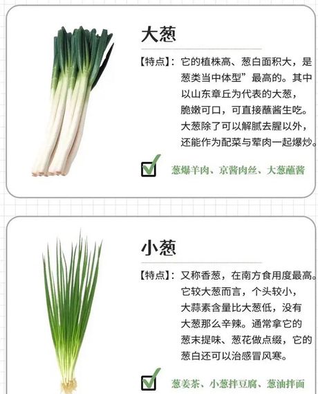 大葱的食用方法与营养价值