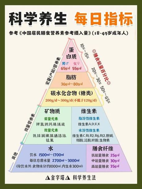 淀粉的替代品：健康饮食的新选择