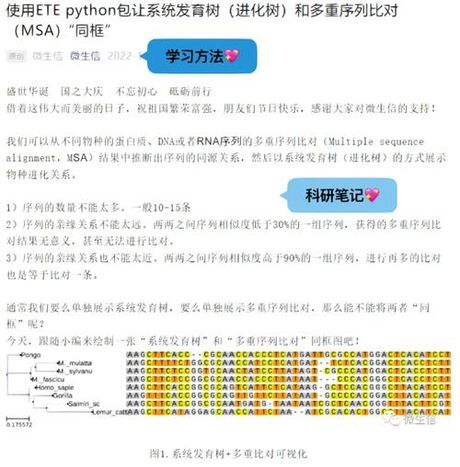 多序列比对（MSA）: 解锁生物信息学中的秘密