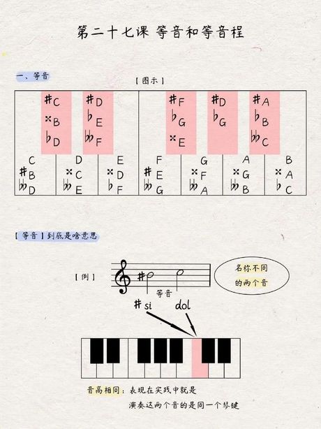 音节与音序：探索语言的节奏与顺序