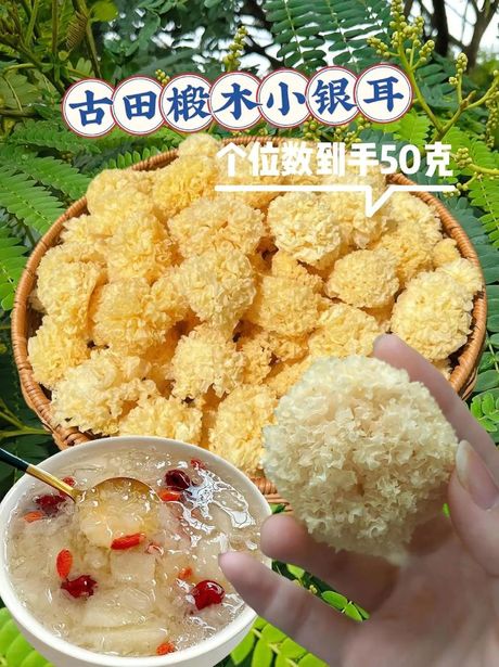 凉拌银耳：美味与健康的完美结合