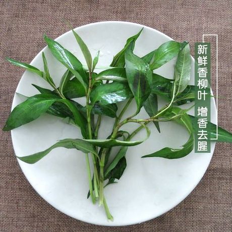 芫荽怎么读：揭开这个常见香料的神秘面纱