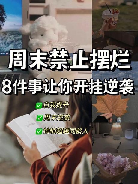 双休制：工作与休息的平衡