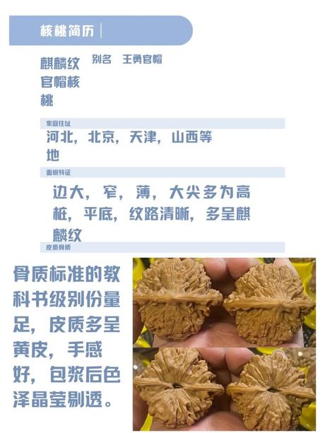 官帽核桃：价值与价格揭秘