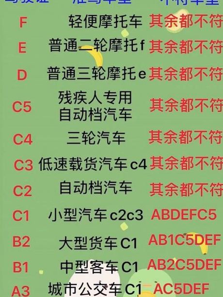 C1驾照全解析：你可以驾驶哪些车辆？