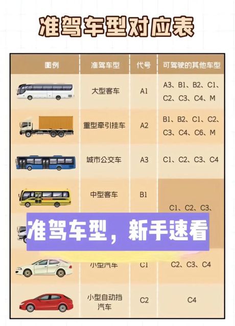 年满20周岁可以初次申请哪种准驾车型