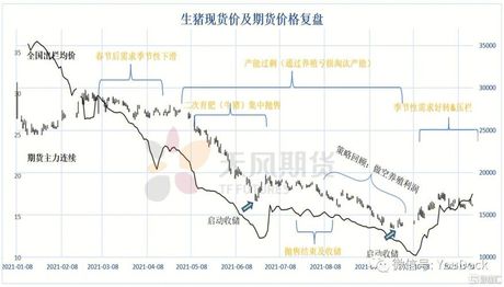 猪肉价格波动解析