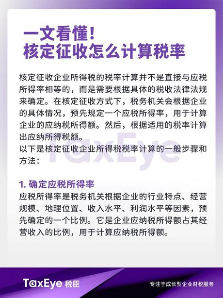 税点计算：简化你的税务理解