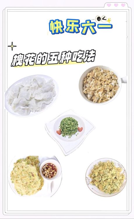 槐花美食攻略：如何烹饪出美味的槐花佳肴