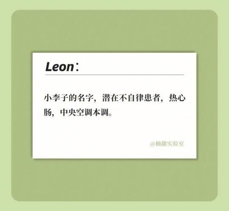Leon: 一个名字的多重含义