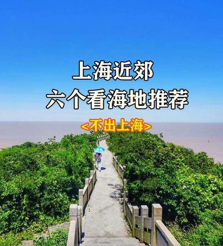 上海哪里可以看海