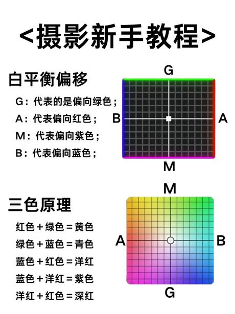 白平衡：色彩校正的秘密