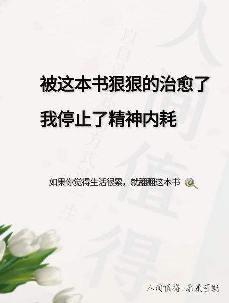 人间值得：探索这个流行短语的深层含义