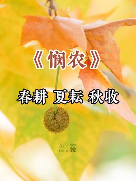 春耕夏耘秋收冬藏：古代农耕智慧的四季诗篇