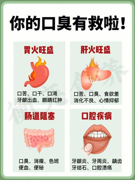 揭秘口臭的成因：从口腔到消化系统的探索