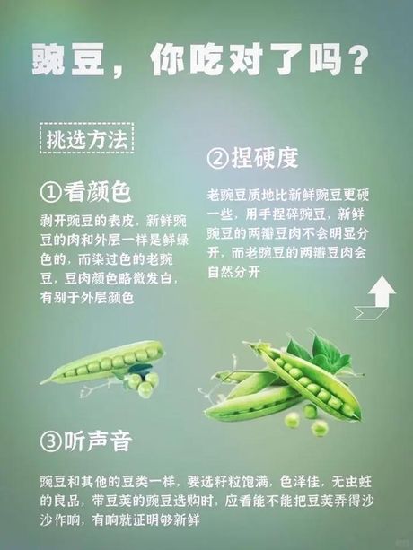 豌豆煮多久：揭秘烹饪时间对豌豆口感和营养的影响