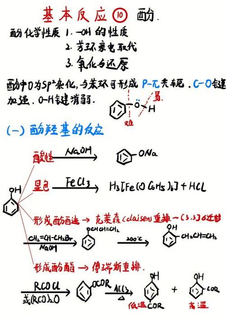 酚羟基的奥秘