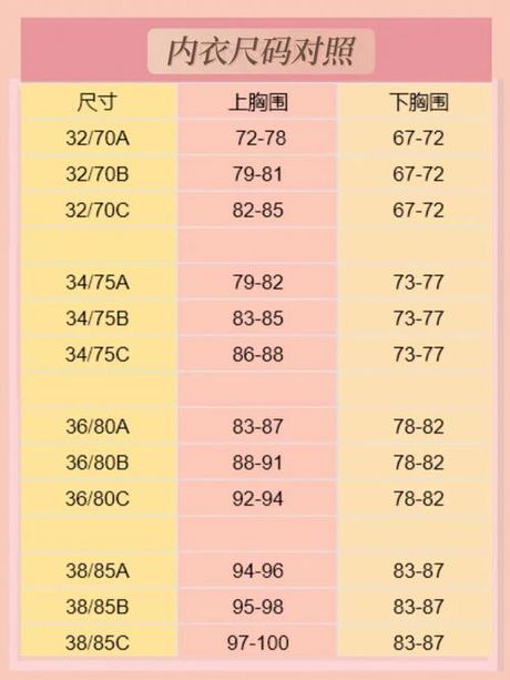 75C与75B：胸围尺寸的比较