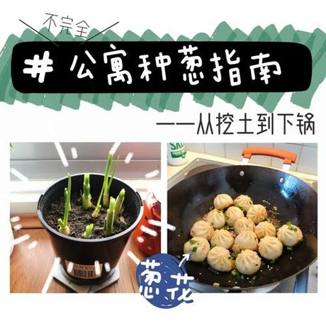 大葱的美味烹饪方法