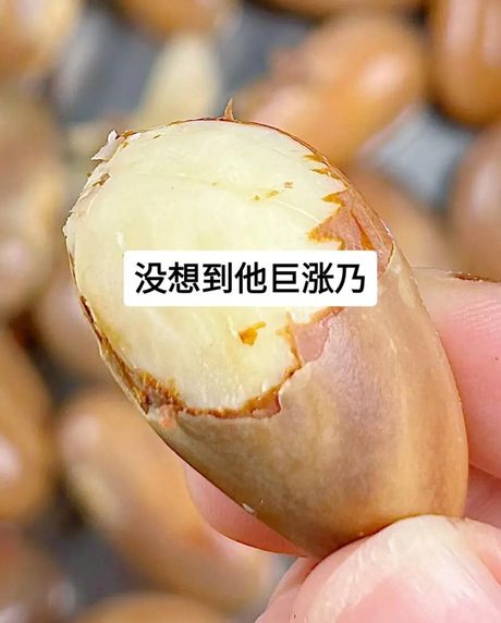 菠萝蜜种子：营养与食用方法