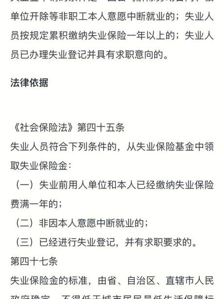 何时可以领取失业金：解析失业保险的条件与流程