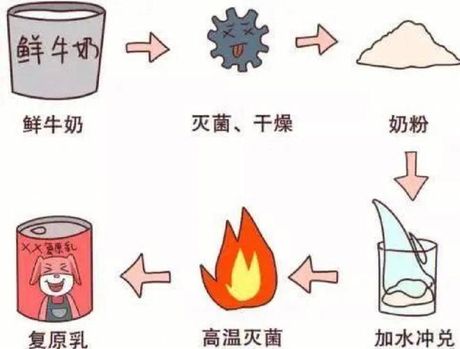 复原乳是什么意思？