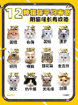 猫的平均寿命是多少年？