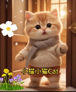 猫咪的英文发音：揭秘“cat”的读音