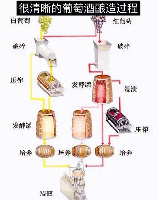 酿酒的艺术：从葡萄到美酒