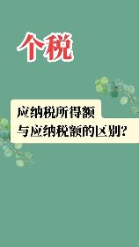 年度应纳税所得额是什么意思？